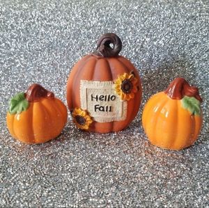 Cute Pumpkin Set